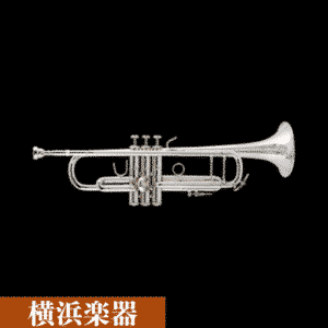 Vincent Bach B♭ Stradivarius 180ML37SP