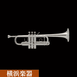 Vincent Bach C Stradivarius C180L